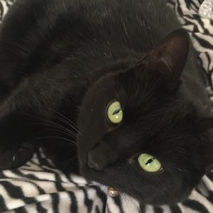 Meet your Posher, Rhonda